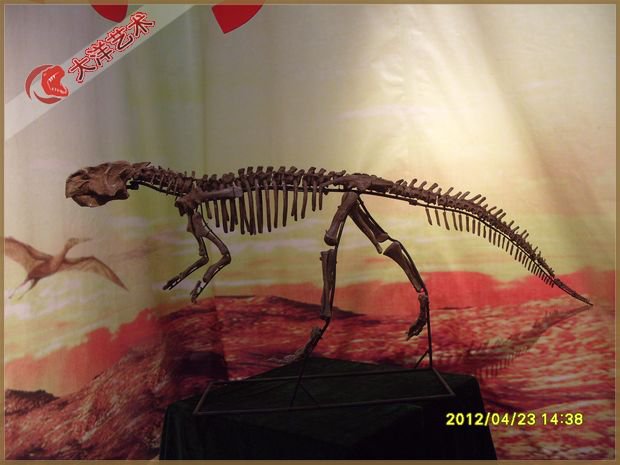 j9����վ(�й�)����-����