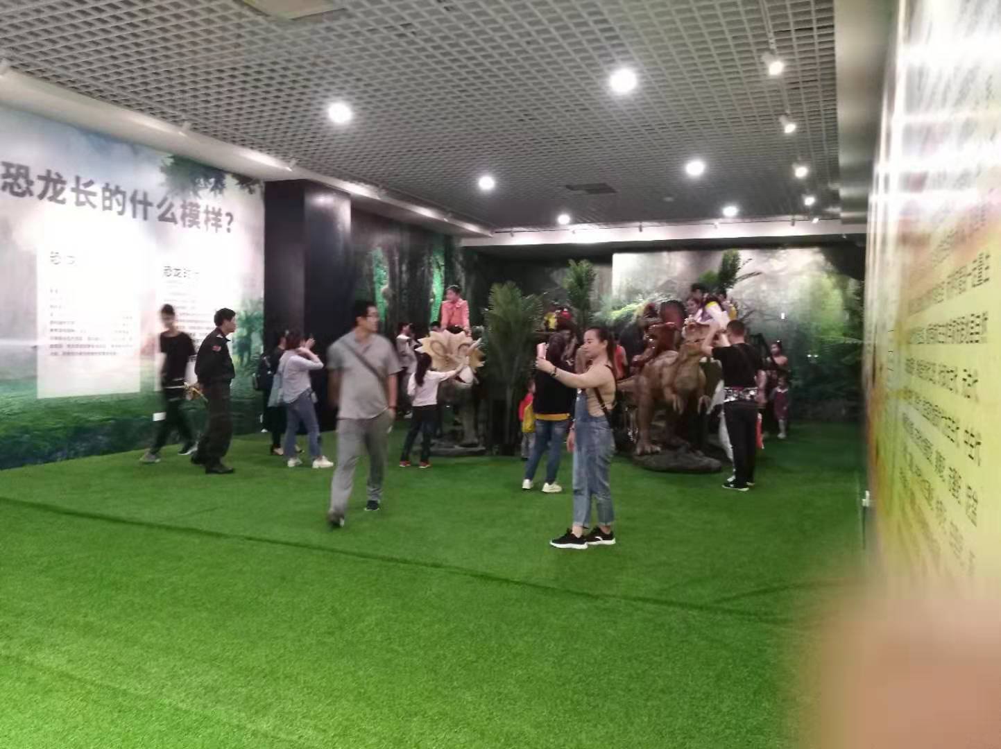 j9����վ(�й�)����-����