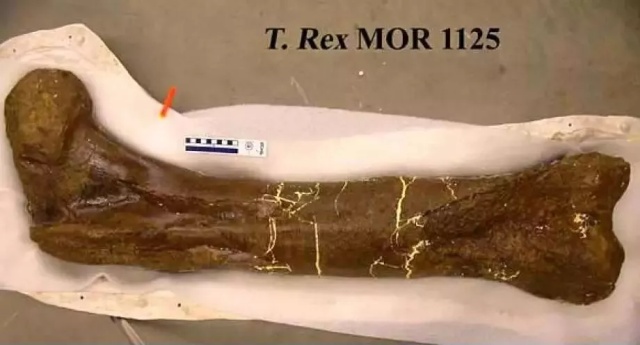 103HW428-7