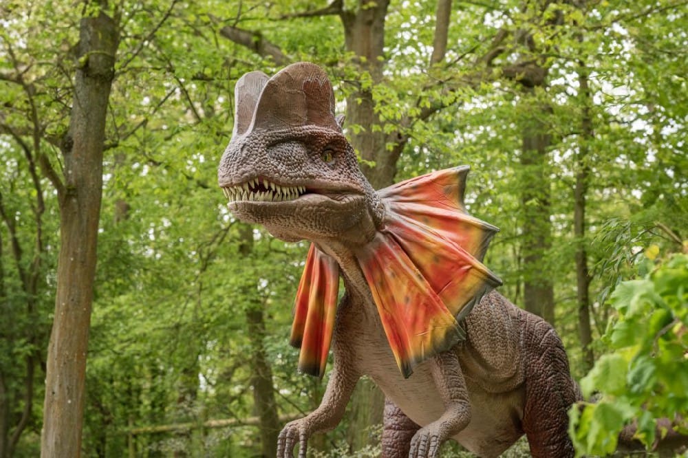 Ӣ��������԰dinopark